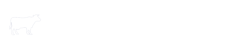 MEGanE